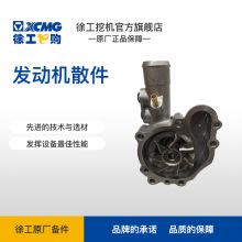 XE35U水泵（800144378）
